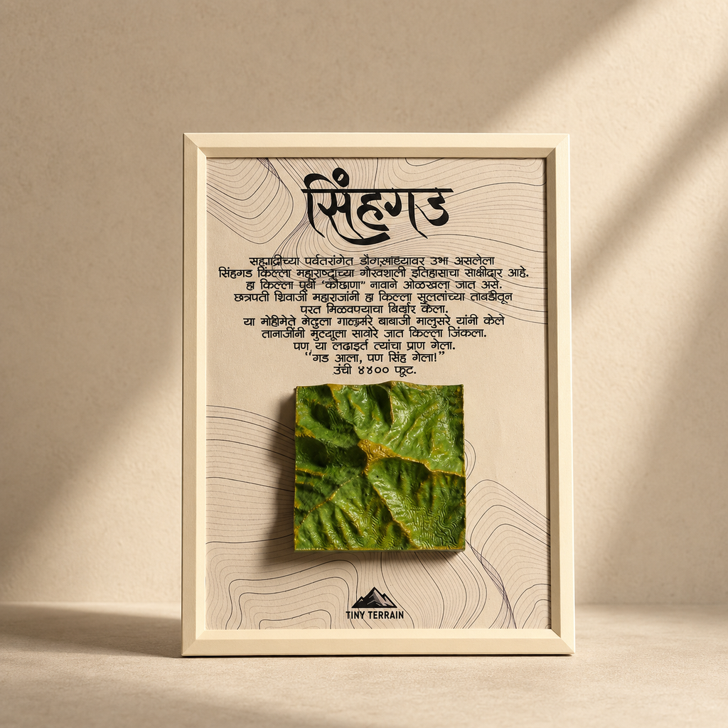Sinhagad 3D Terrain Wall Art