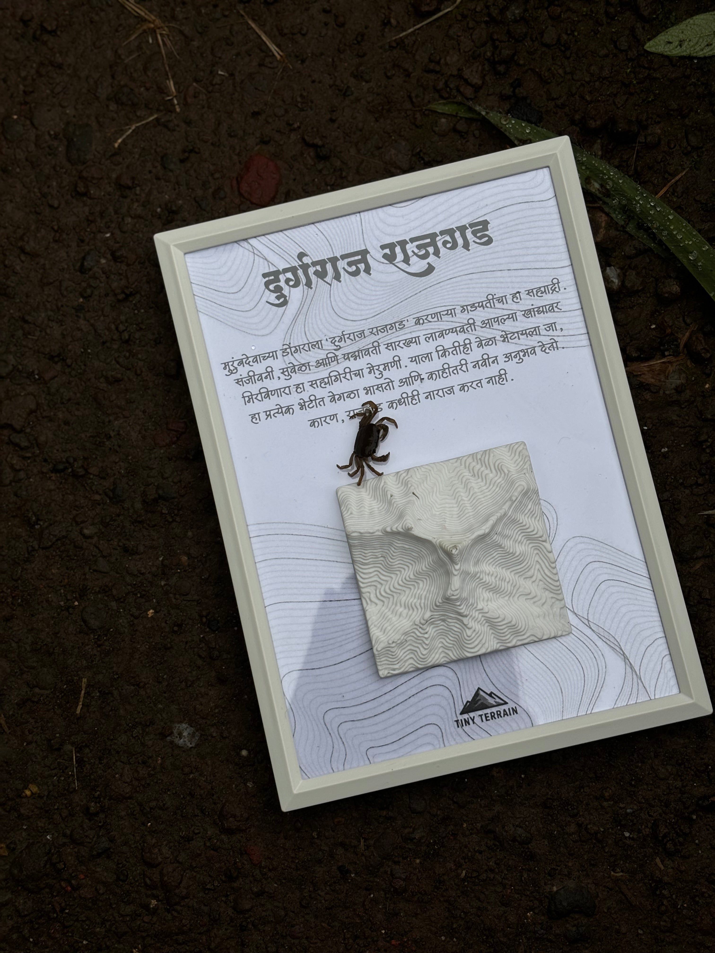 Rajgad 3D Terrain Wall Art