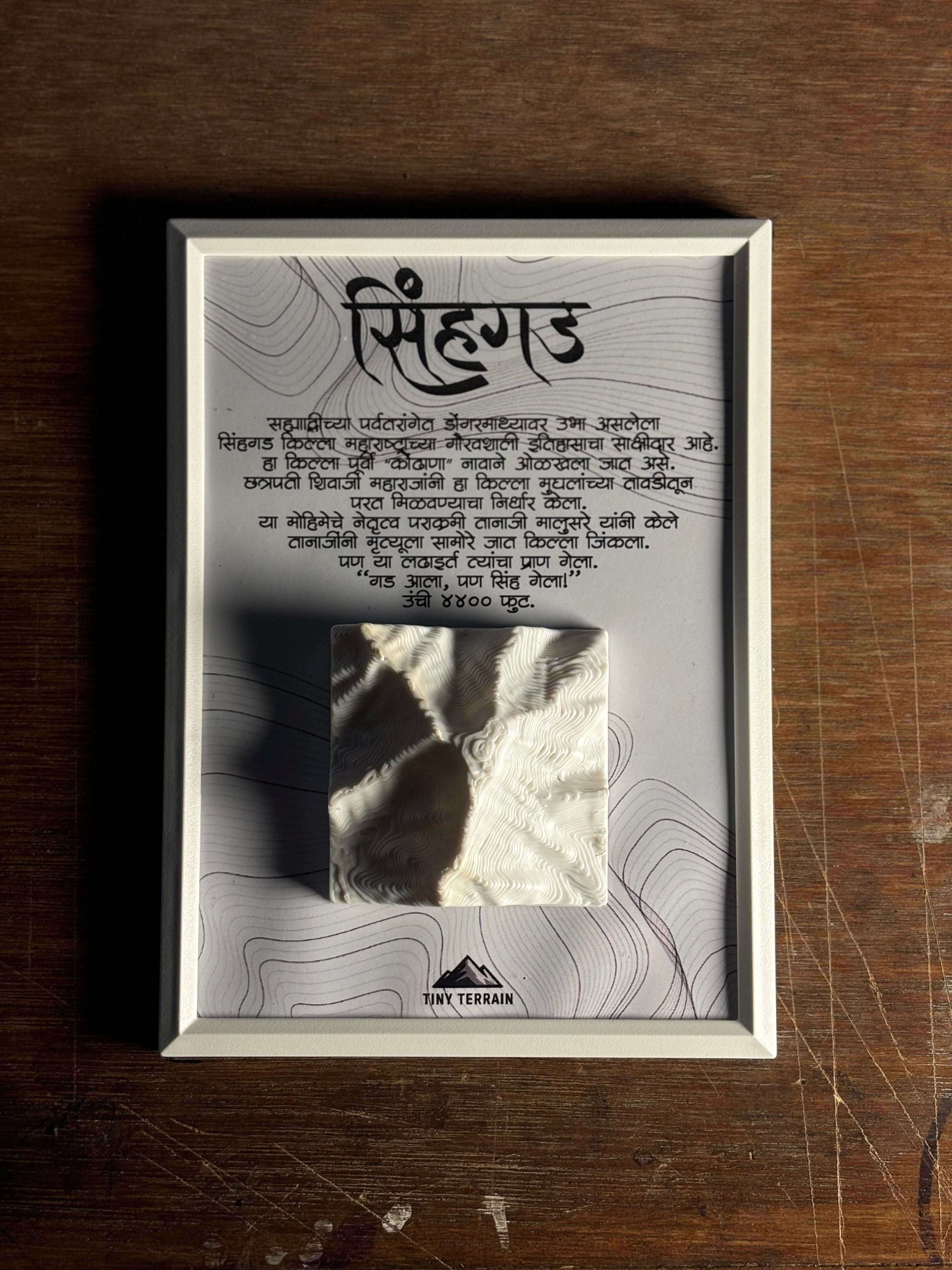 Sinhagad 3D Terrain Wall Art