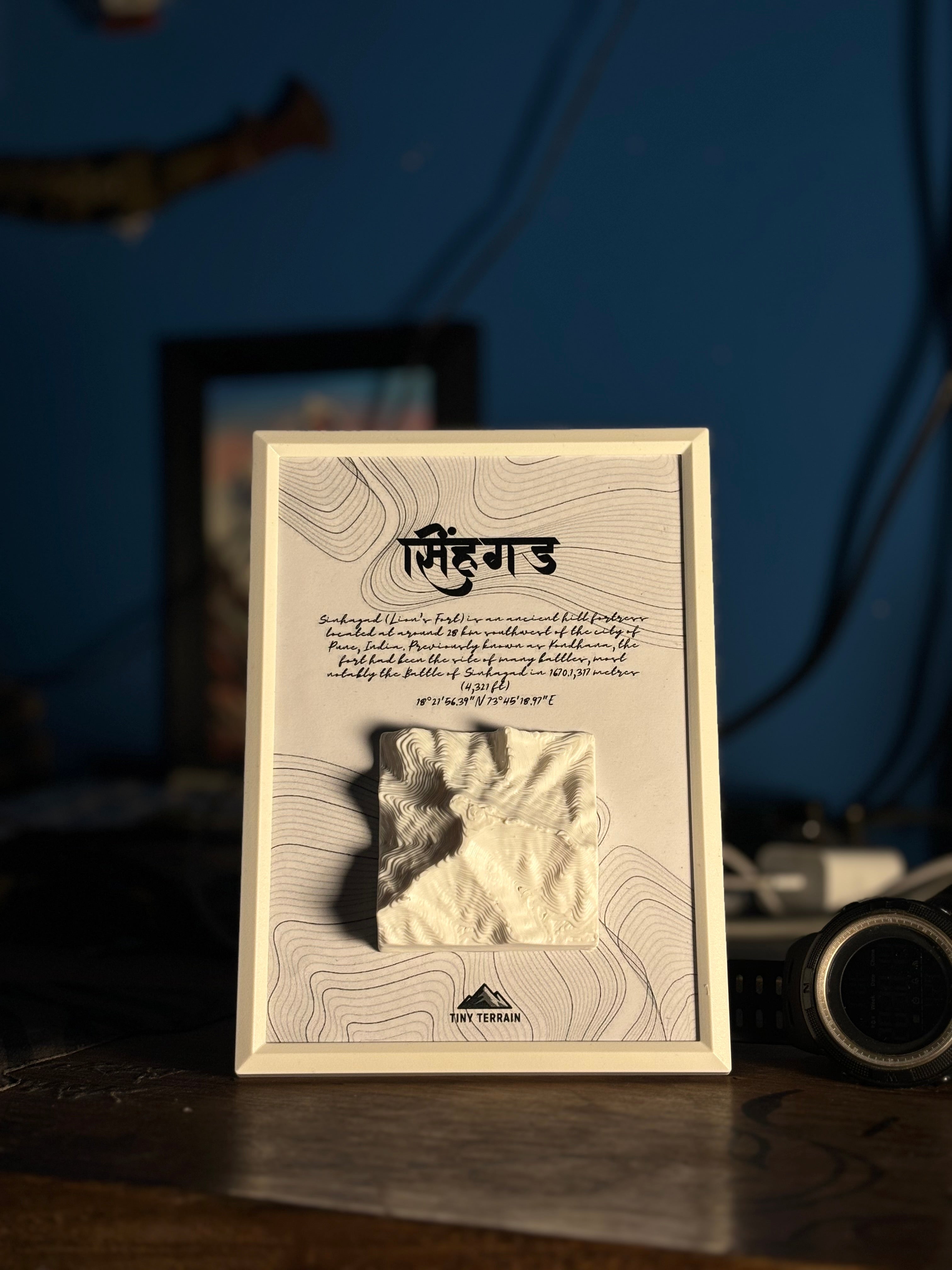 Sinhagad 3D Terrain Wall Art
